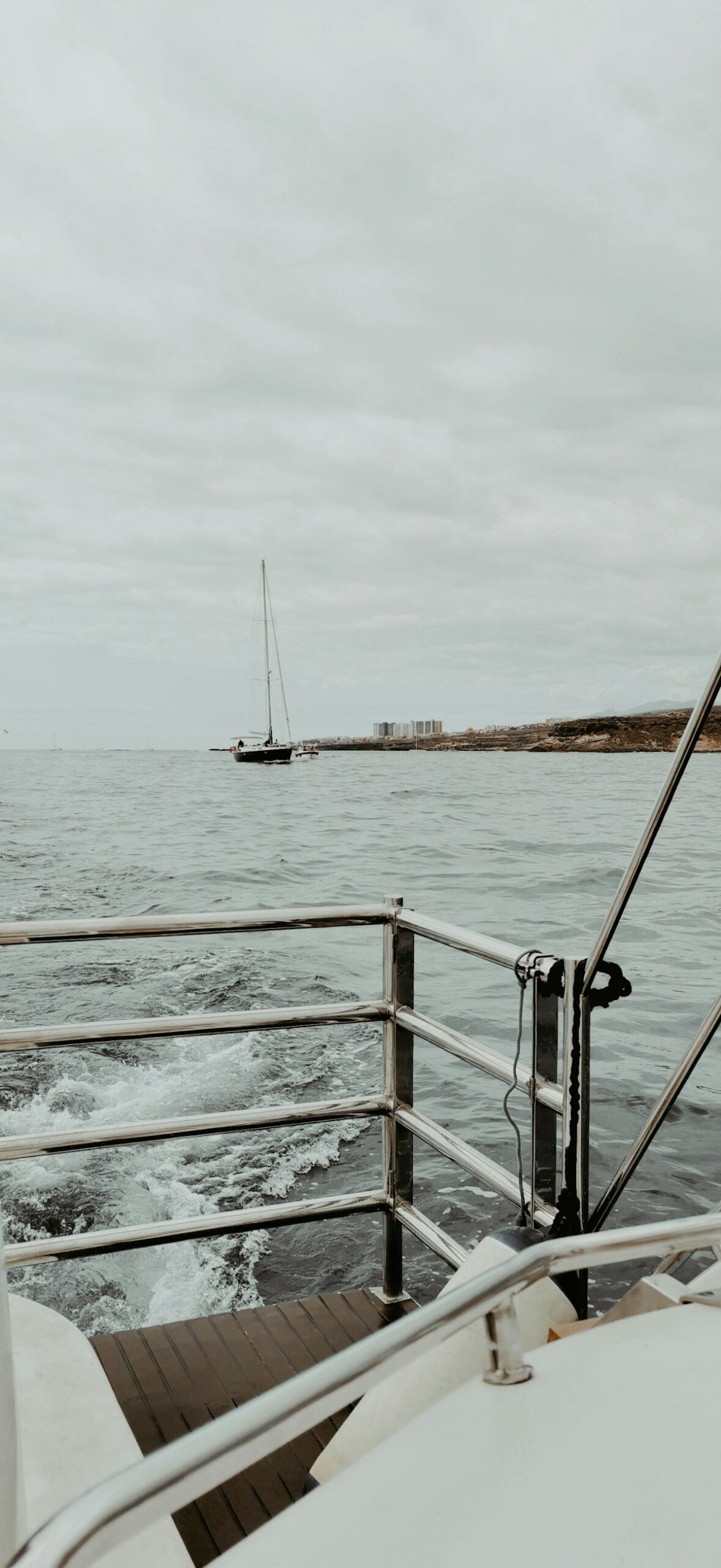 カタマラン船の全景
