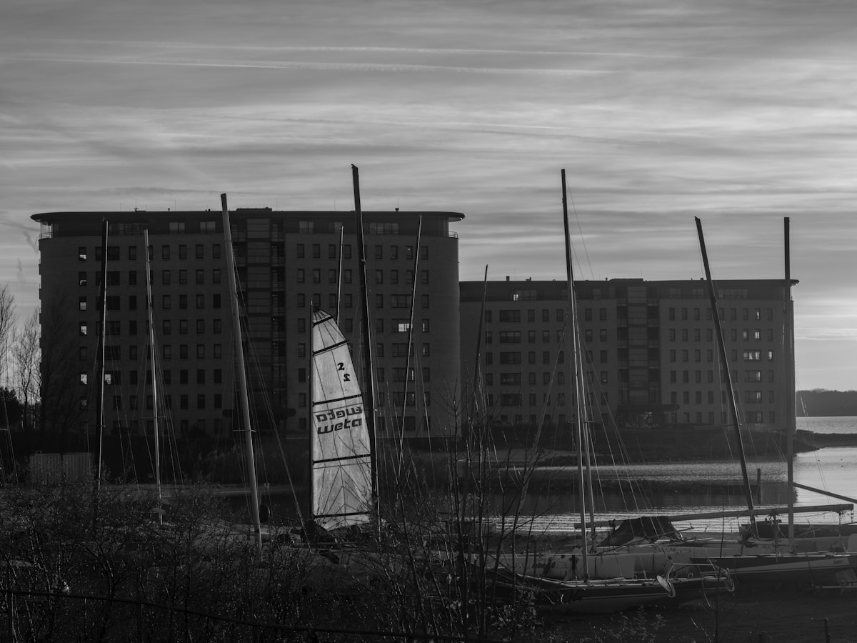 カタマランヨットの価格相場