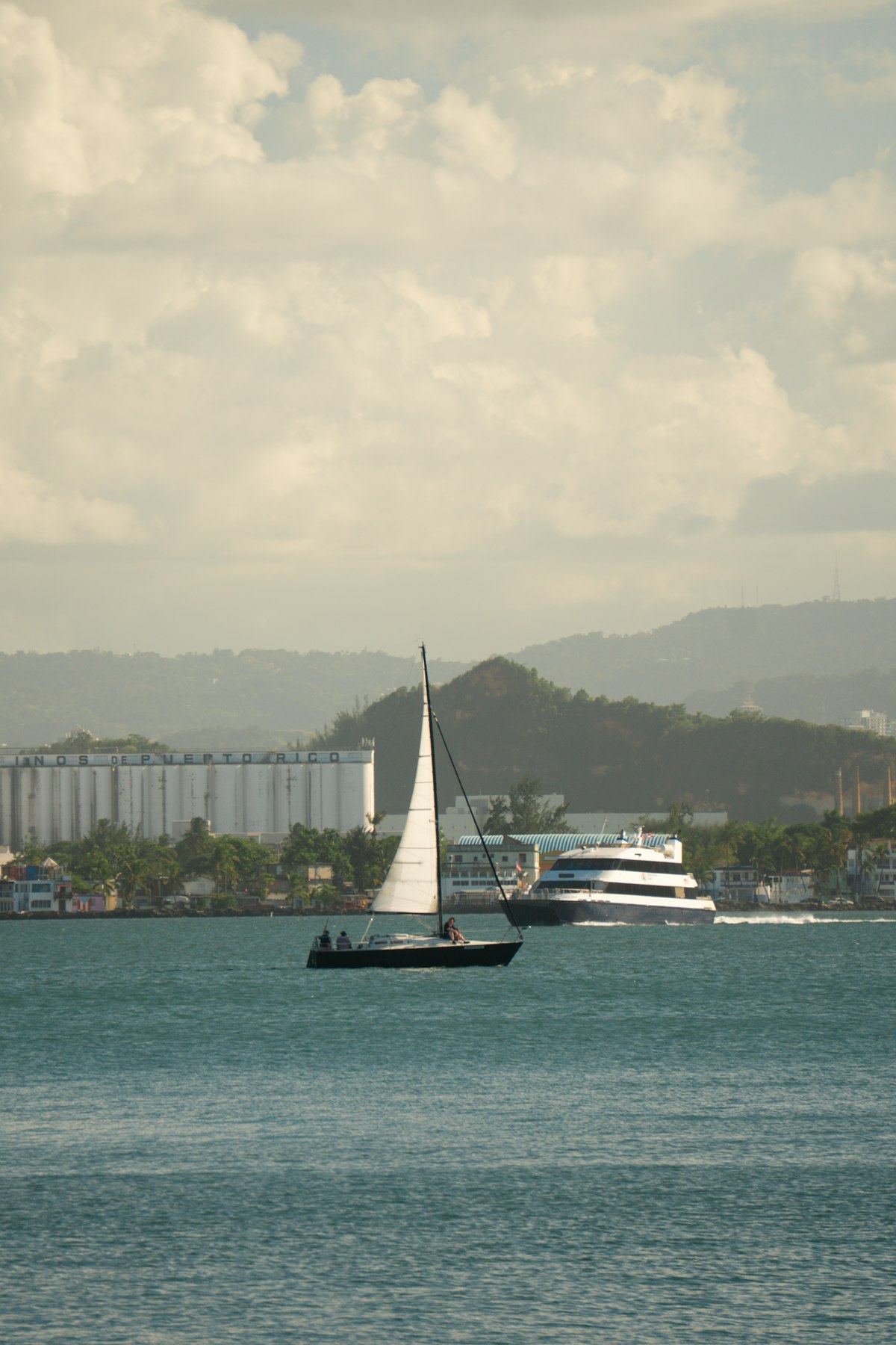 クルーザーヨットとは