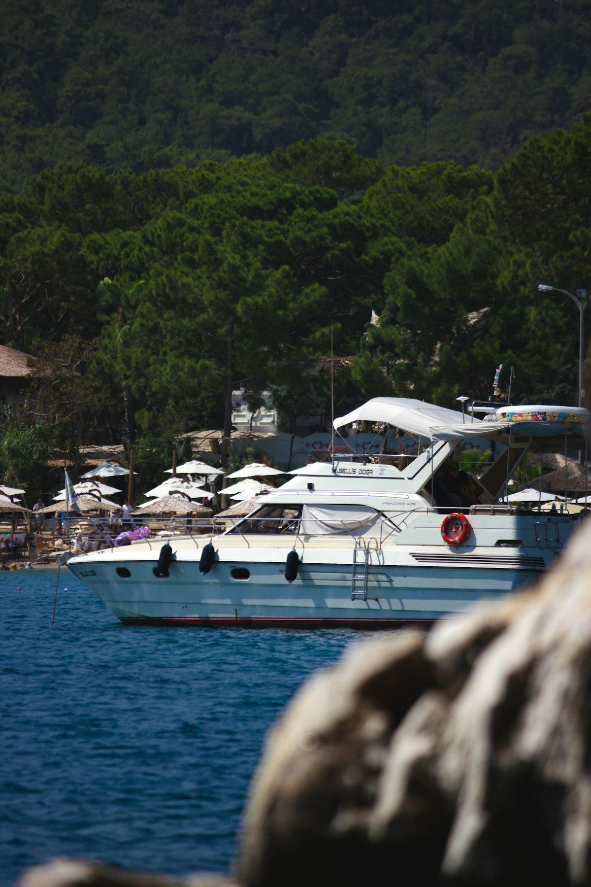 プレジャーボート保険の種類