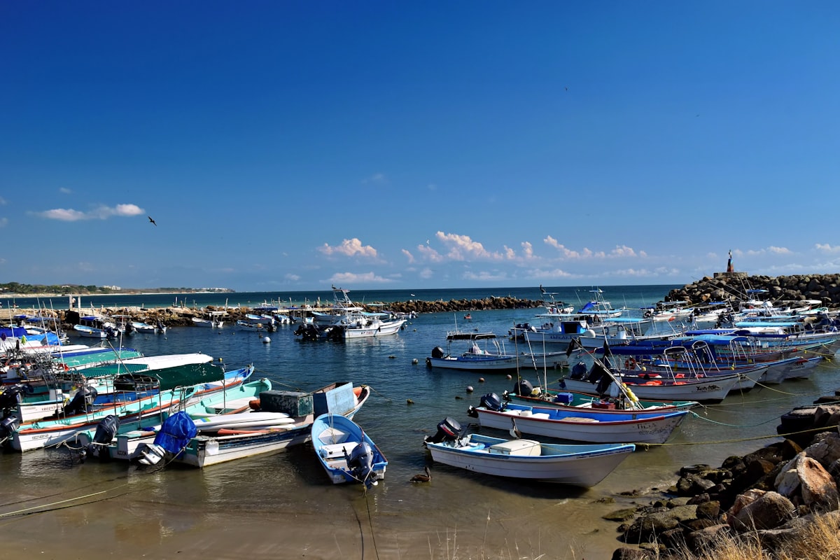 小型船舶の保険と費用