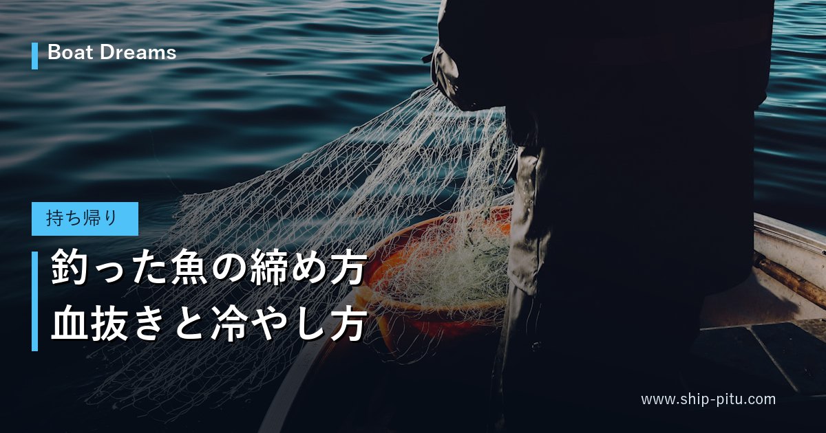 釣った魚の締め方｜血抜きと冷やし方
